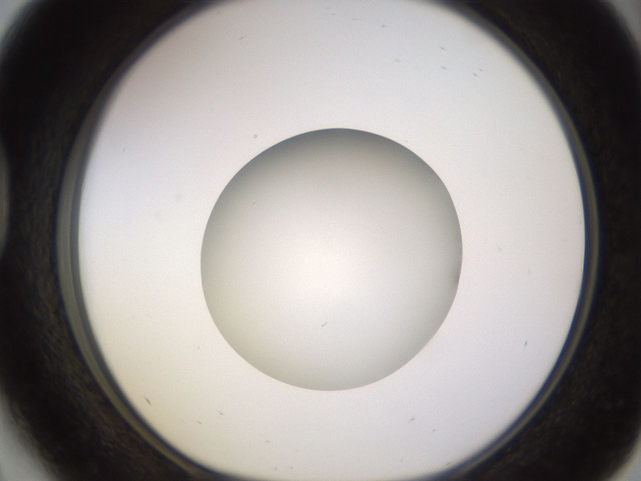 folderID396_plateID1396_batchID5051_wellNum41_profileID1_d1_r85114_ef.jpg