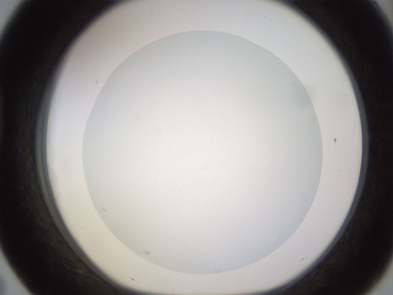 folderID396_plateID1396_batchID5051_wellNum43_profileID1_d1_r85116_ef.jpg