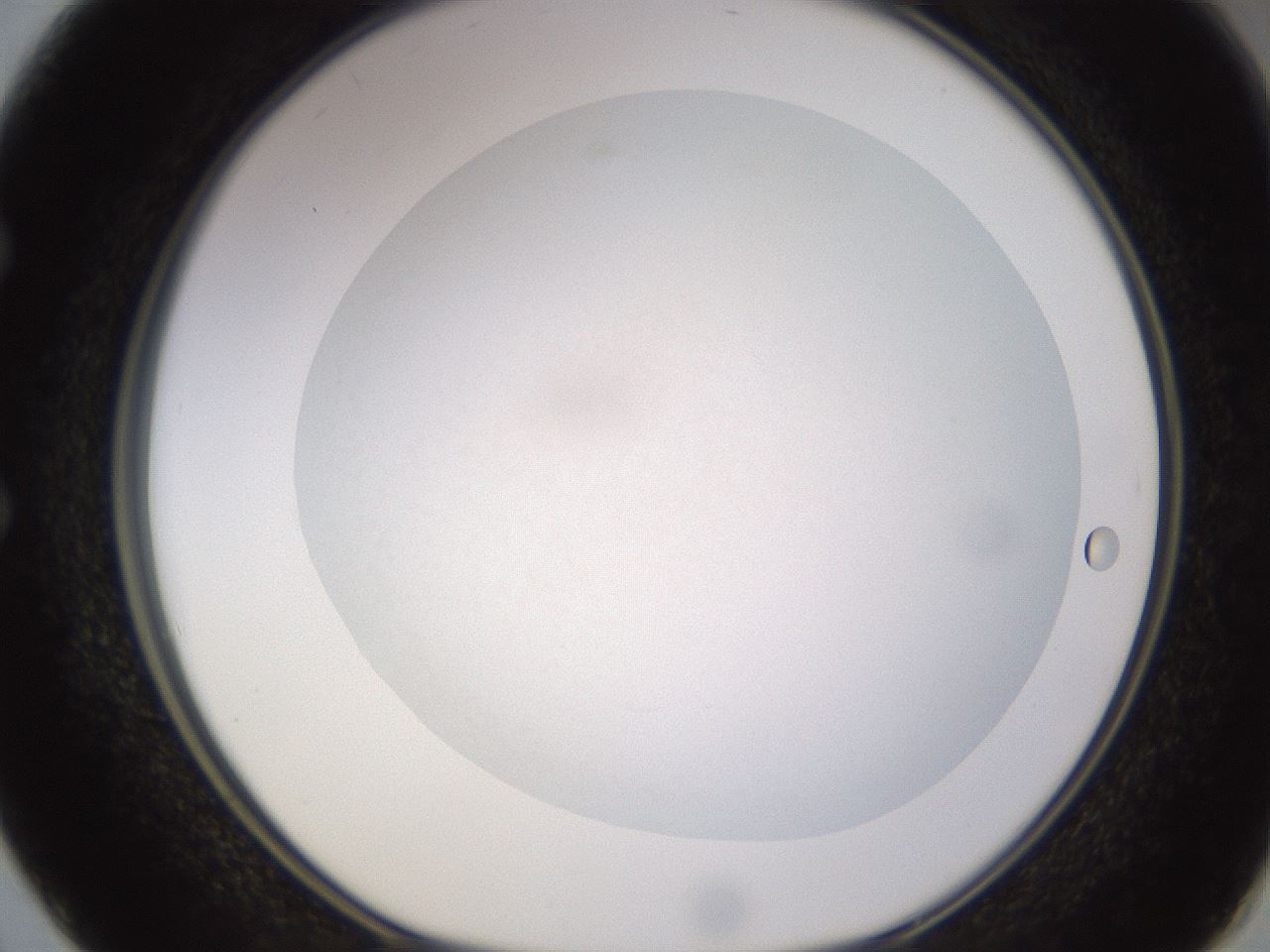 folderID396_plateID1396_batchID5051_wellNum50_profileID1_d1_r85123_ef.jpg
