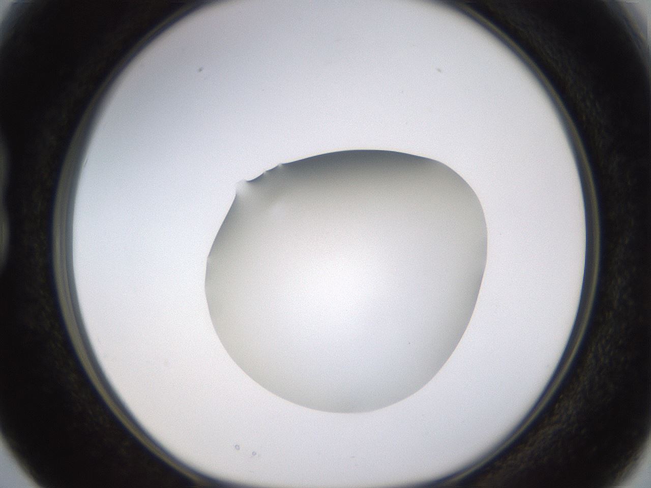 folderID396_plateID1396_batchID5051_wellNum15_profileID1_d1_r85088_ef.jpg