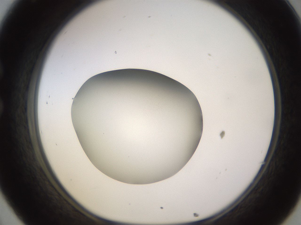 folderID396_plateID1396_batchID5051_wellNum32_profileID1_d1_r85105_ef.jpg