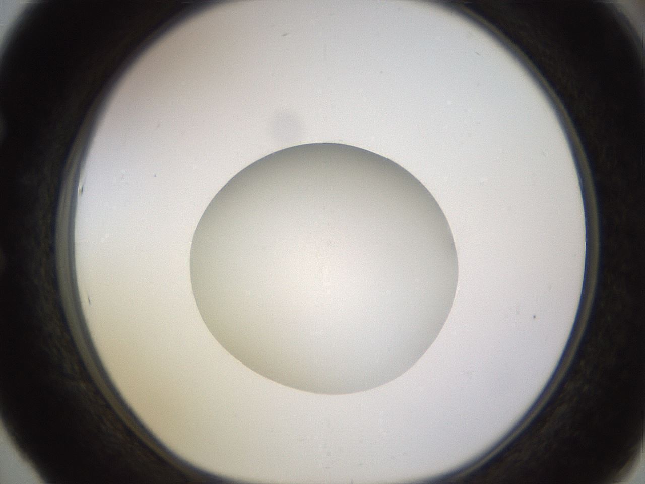 folderID396_plateID1396_batchID5051_wellNum53_profileID1_d1_r85126_ef.jpg