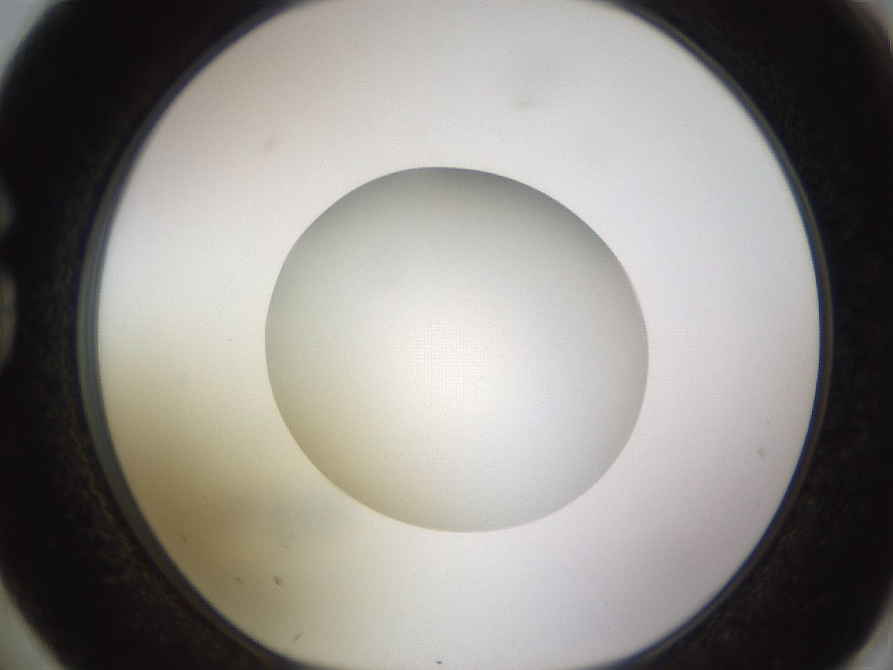 folderID396_plateID1396_batchID5051_wellNum74_profileID1_d1_r85147_ef.jpg