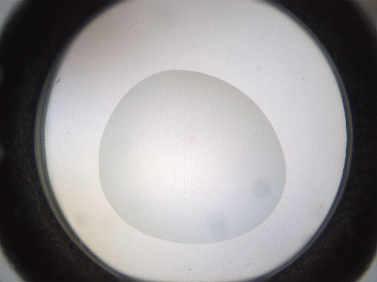 folderID397_plateID1397_batchID5053_wellNum51_profileID1_d1_r85220_ef.jpg