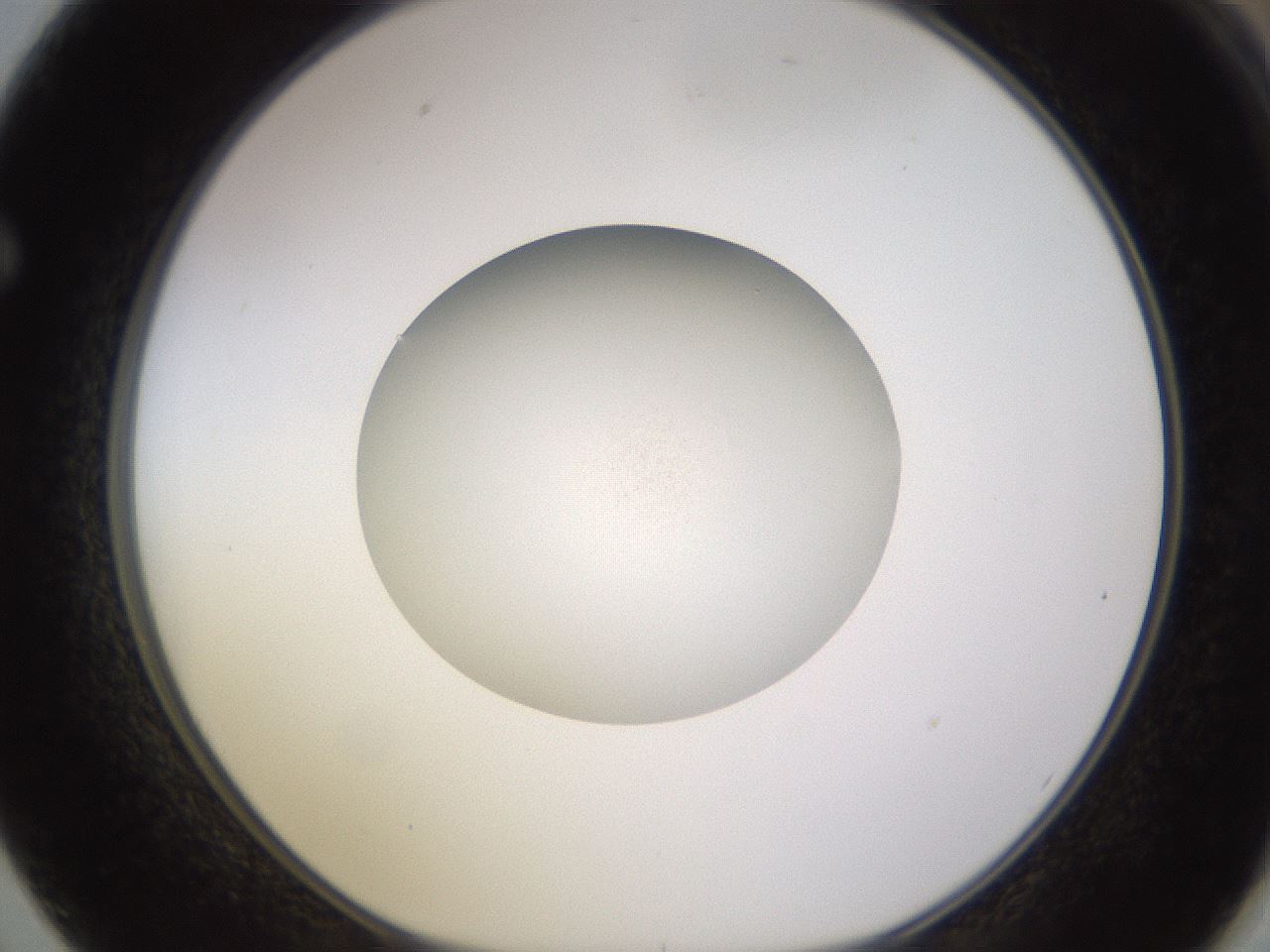 folderID396_plateID1396_batchID5051_wellNum62_profileID1_d1_r85135_ef.jpg