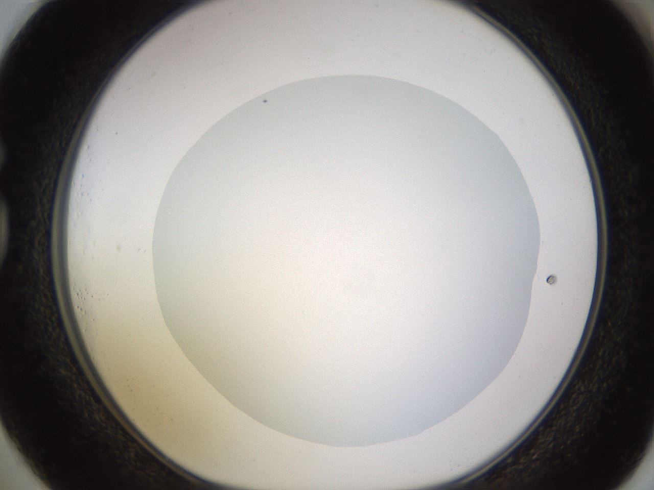 folderID396_plateID1396_batchID5051_wellNum73_profileID1_d1_r85146_ef.jpg