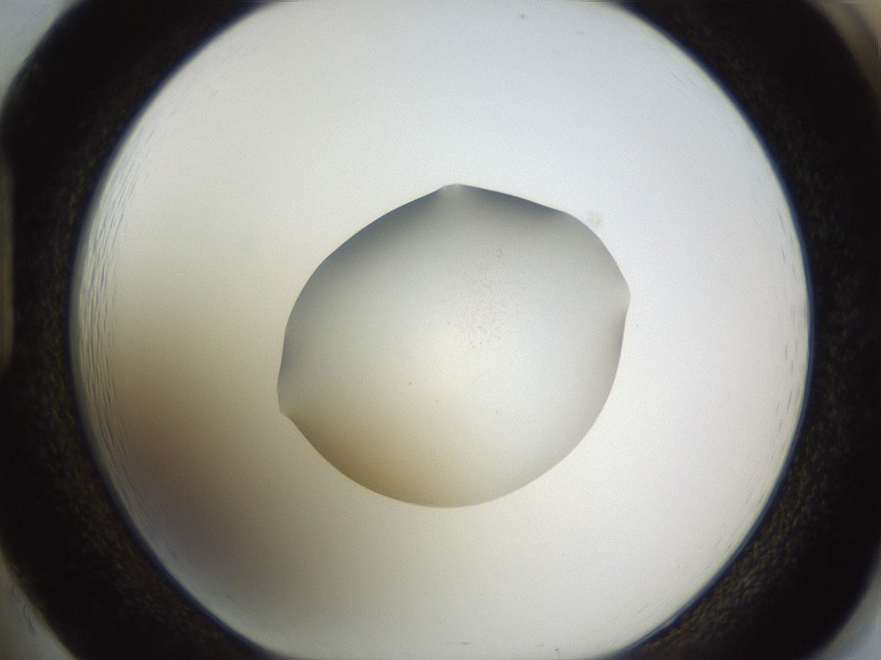 folderID396_plateID1396_batchID5051_wellNum85_profileID1_d1_r85158_ef.jpg