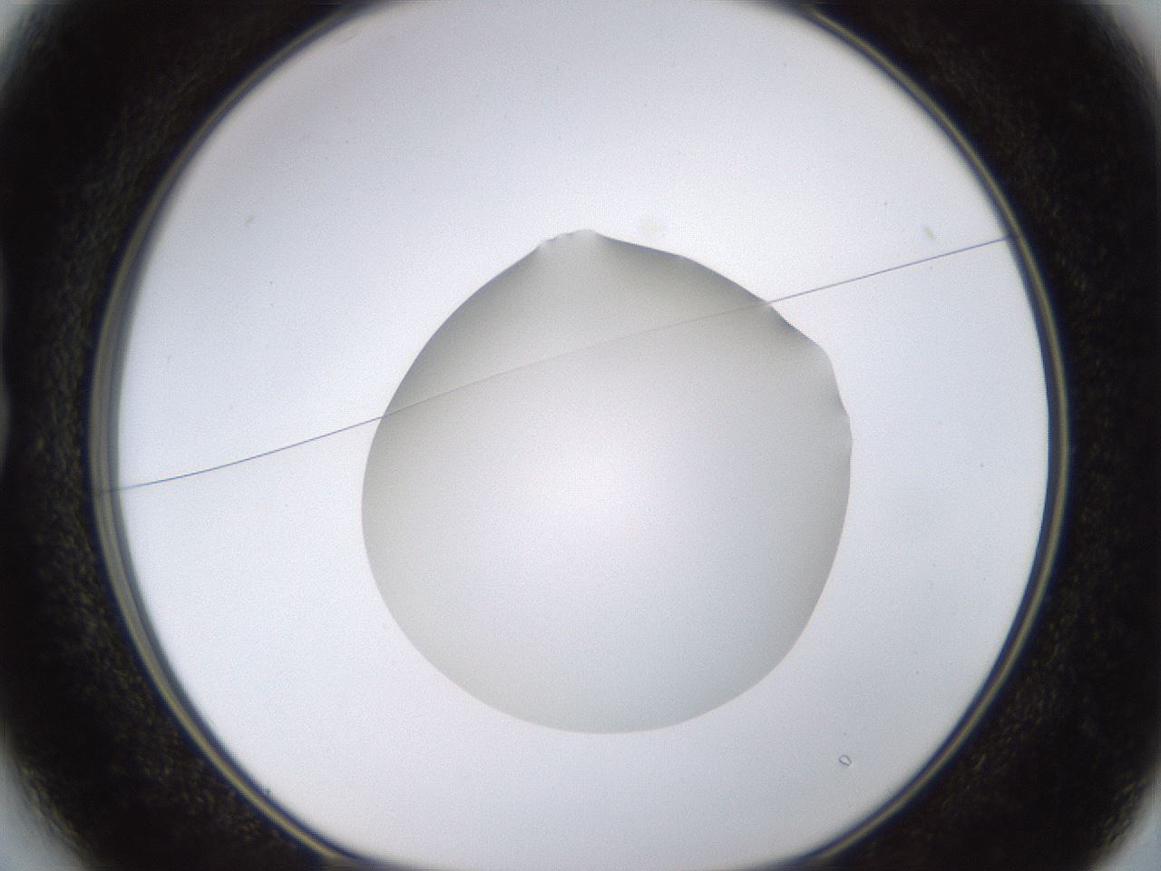 folderID397_plateID1397_batchID5053_wellNum13_profileID1_d1_r85182_ef.jpg