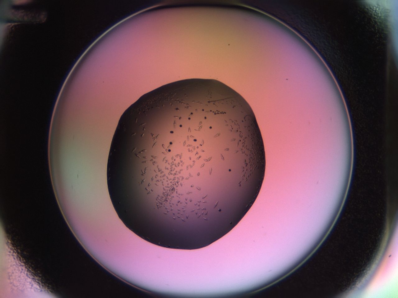 02kn_D12_ImagerDefaults_9.jpg