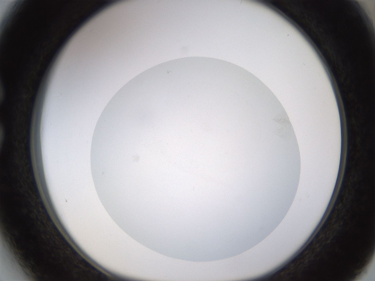 folderID397_plateID1397_batchID5053_wellNum27_profileID1_d1_r85196_ef.jpg