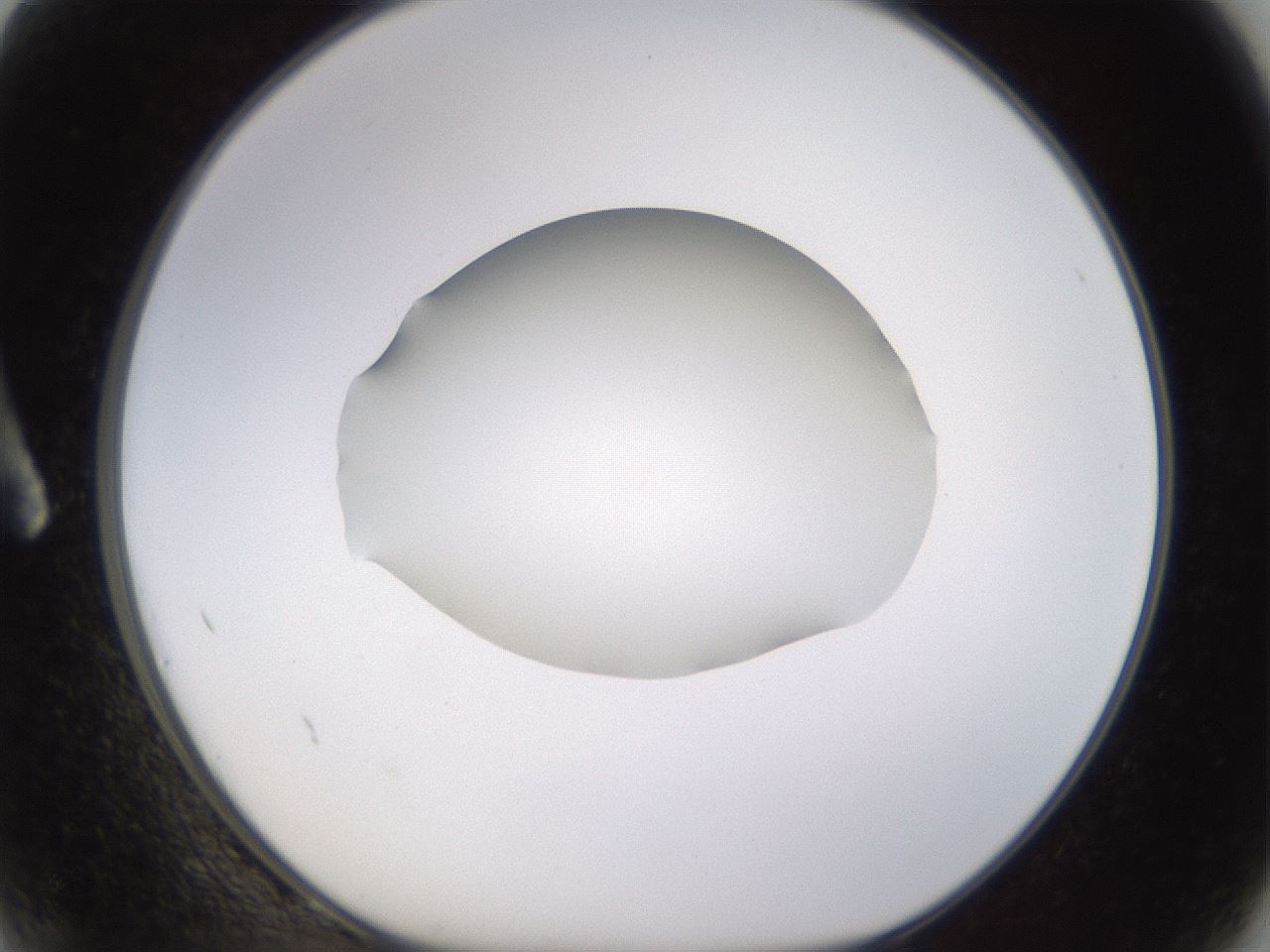 folderID397_plateID1397_batchID5053_wellNum2_profileID1_d1_r85171_ef.jpg