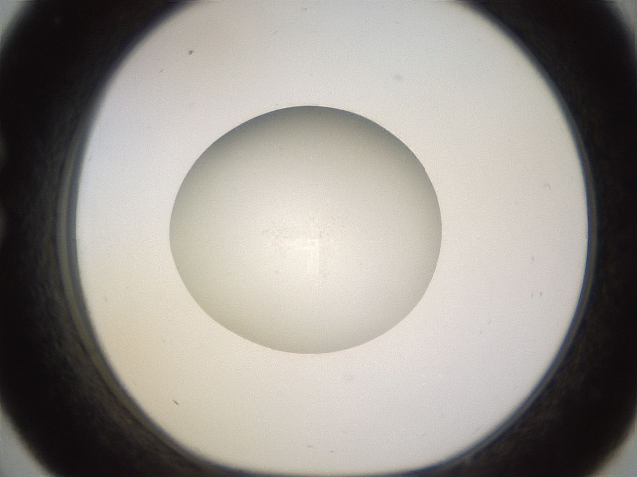folderID397_plateID1397_batchID5053_wellNum33_profileID1_d1_r85202_ef.jpg