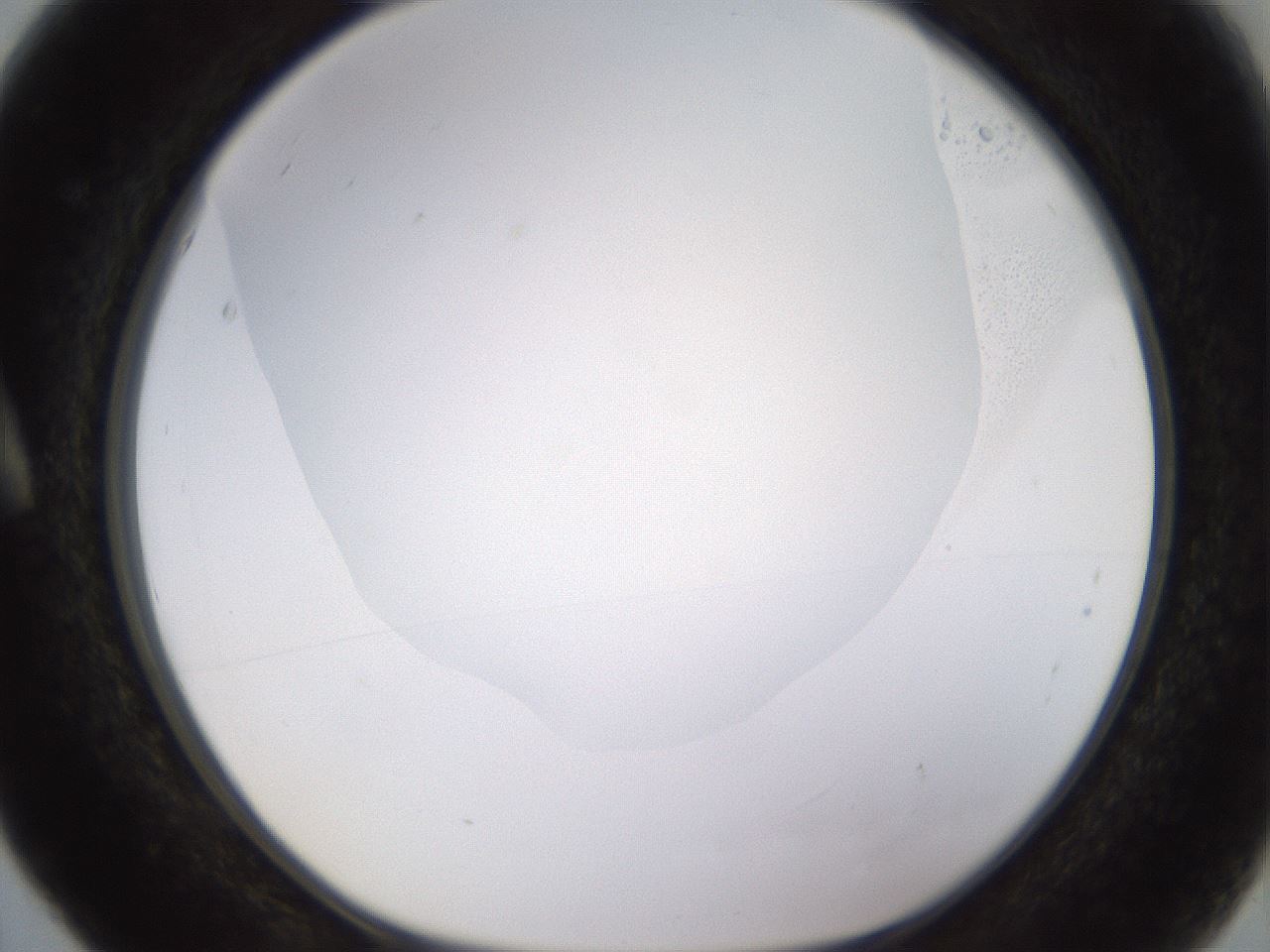 folderID397_plateID1397_batchID5053_wellNum5_profileID1_d1_r85174_ef.jpg