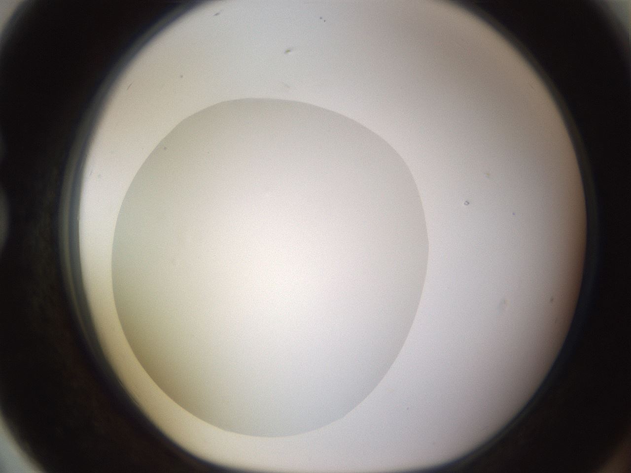 folderID397_plateID1397_batchID5053_wellNum79_profileID1_d1_r85248_ef.jpg