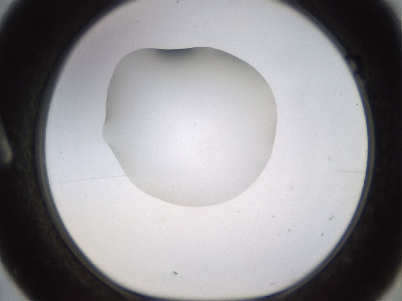 folderID397_plateID1397_batchID5053_wellNum7_profileID1_d1_r85176_ef.jpg