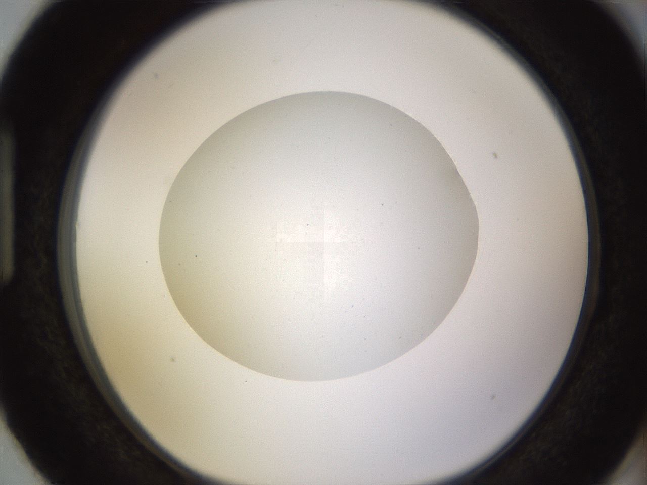 folderID397_plateID1397_batchID5053_wellNum87_profileID1_d1_r85256_ef.jpg