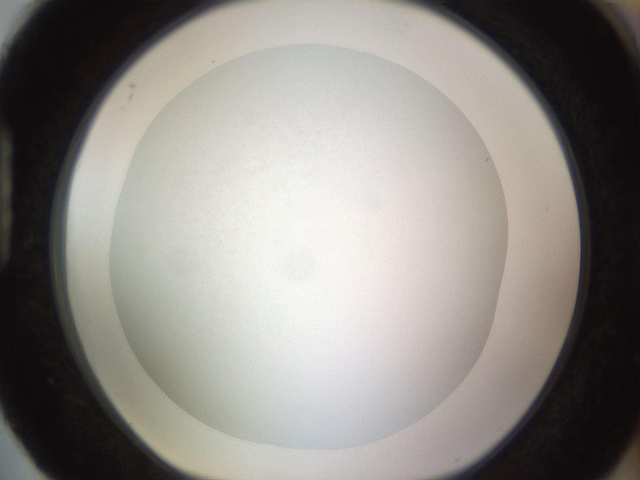 folderID397_plateID1397_batchID5053_wellNum88_profileID1_d1_r85257_ef.jpg