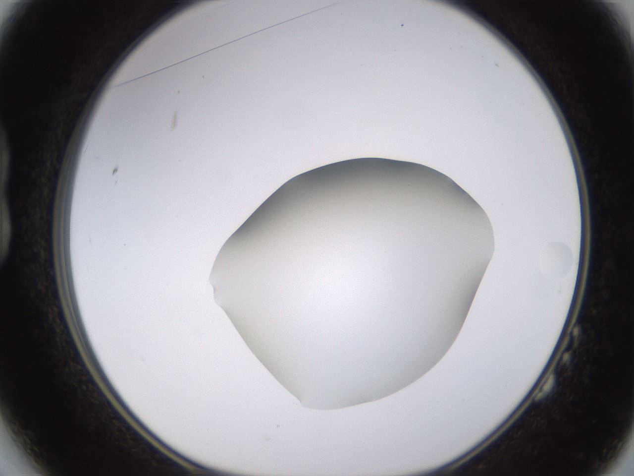 folderID398_plateID1398_batchID5055_wellNum14_profileID1_d1_r85375_ef.jpg