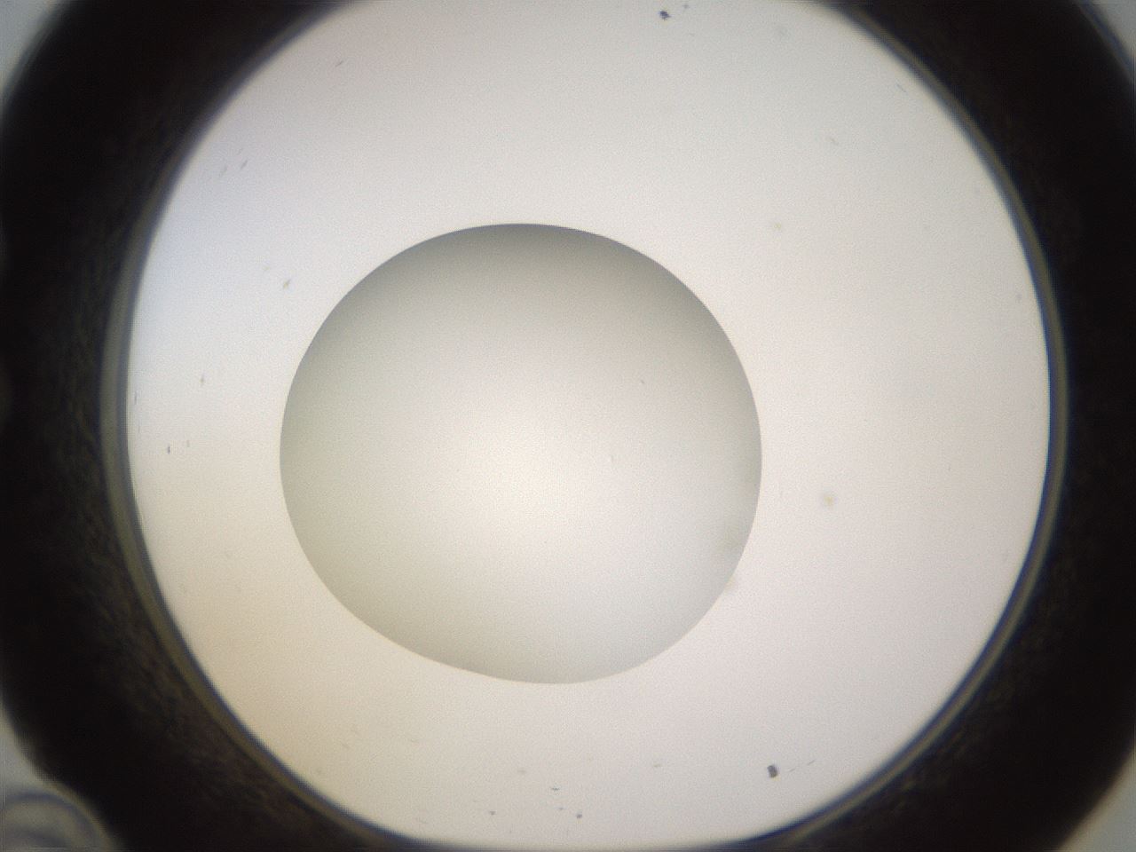 folderID398_plateID1398_batchID5055_wellNum34_profileID1_d1_r85395_ef.jpg