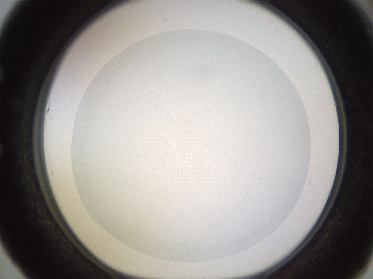 folderID398_plateID1398_batchID5055_wellNum53_profileID1_d1_r85414_ef.jpg