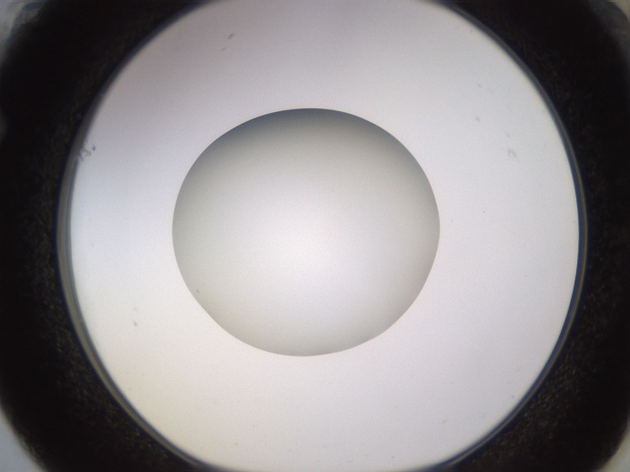folderID398_plateID1398_batchID5055_wellNum61_profileID1_d1_r85422_ef.jpg