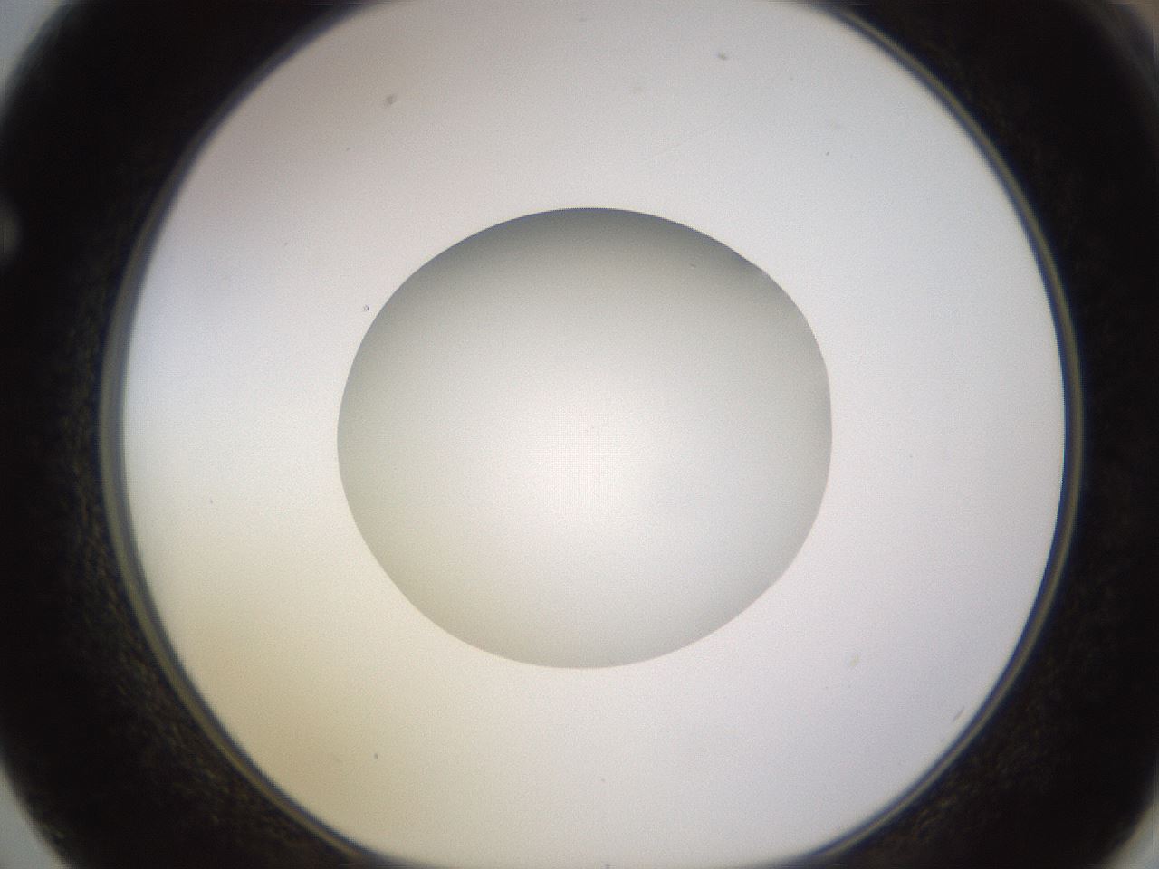 folderID398_plateID1398_batchID5055_wellNum62_profileID1_d1_r85423_ef.jpg