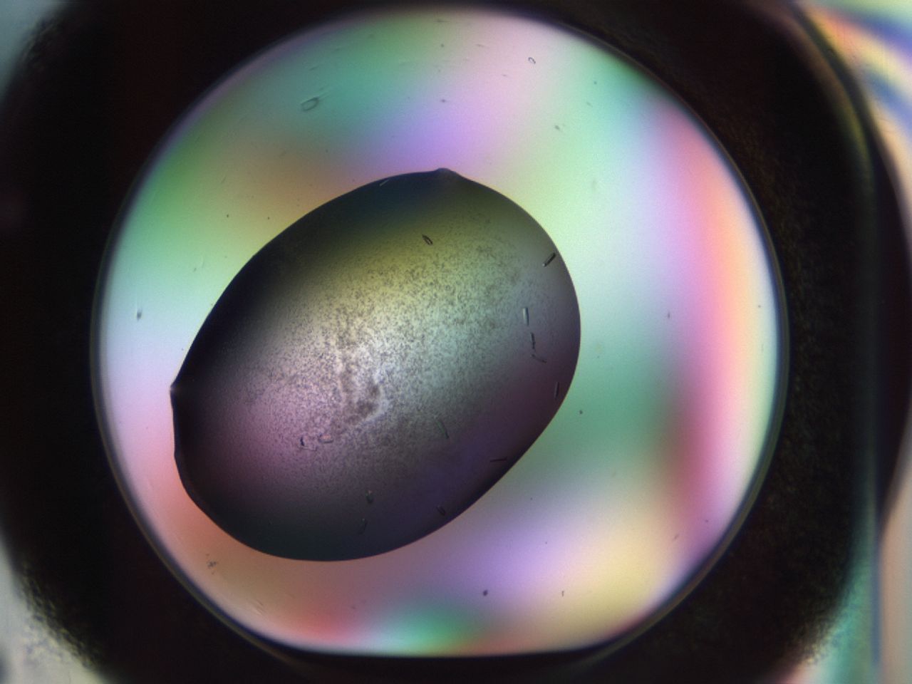 02kn_F6_ImagerDefaults_9.jpg