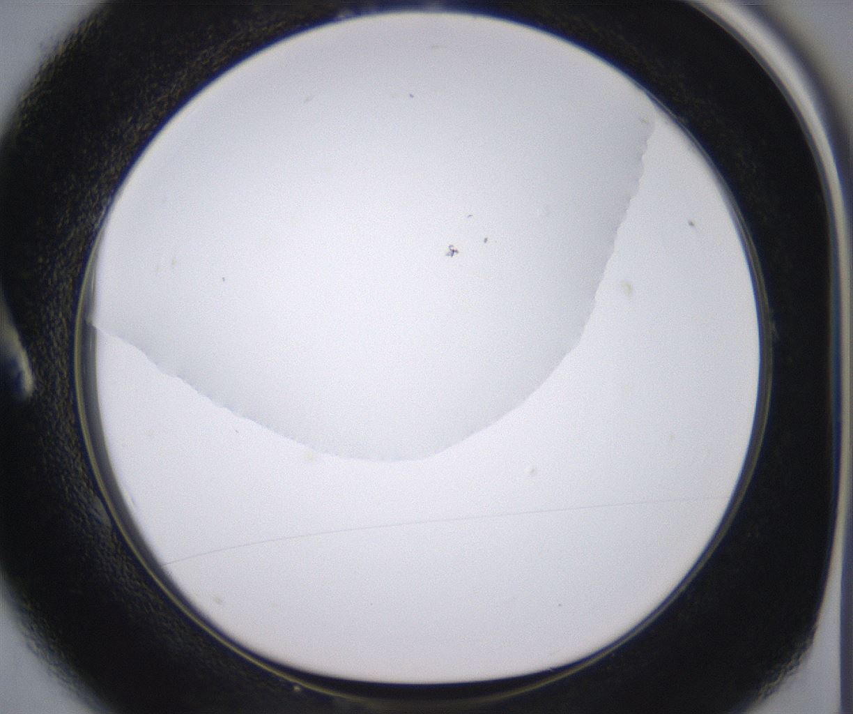 folderID398_plateID2398_batchID11263_wellNum1_profileID1_d1_r177187_ef.jpg