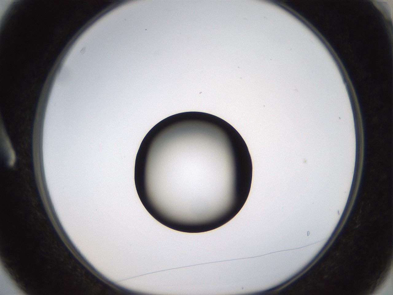 folderID399_plateID1399_batchID5060_wellNum3_profileID1_d1_r85844_ef.jpg