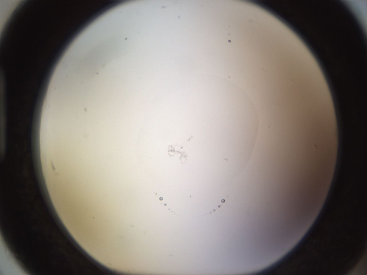 folderID398_plateID1398_batchID5055_wellNum91_profileID1_d1_r85452_ef.jpg