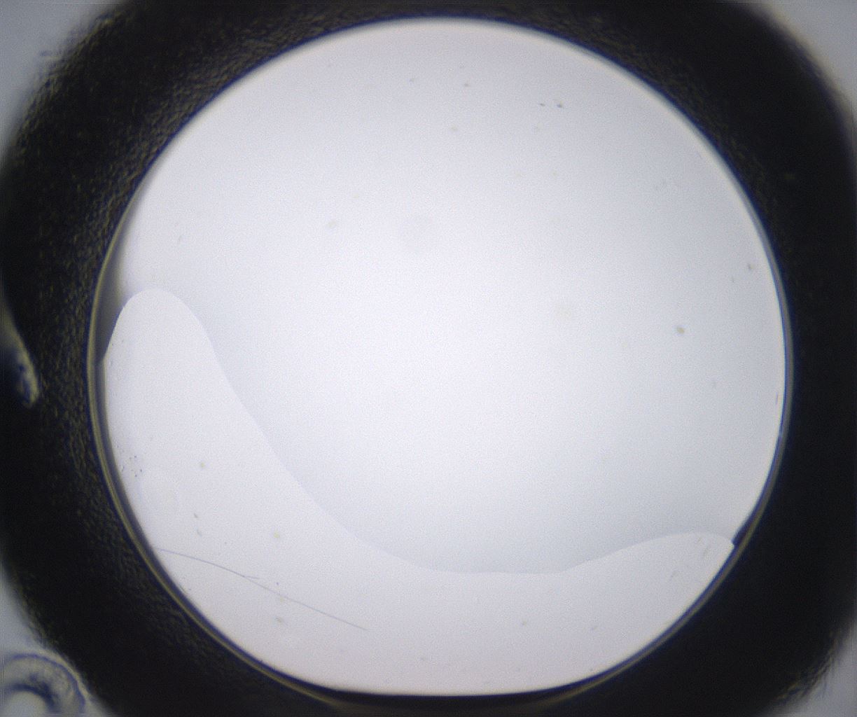 folderID398_plateID2398_batchID11263_wellNum10_profileID1_d1_r177196_ef.jpg