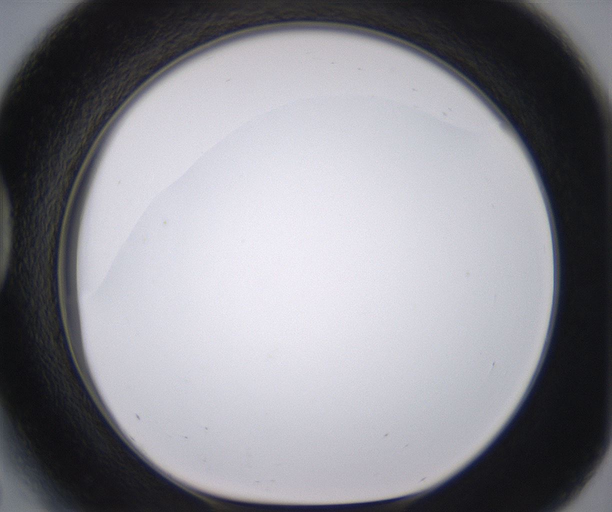 folderID398_plateID2398_batchID11263_wellNum41_profileID1_d1_r177227_ef.jpg