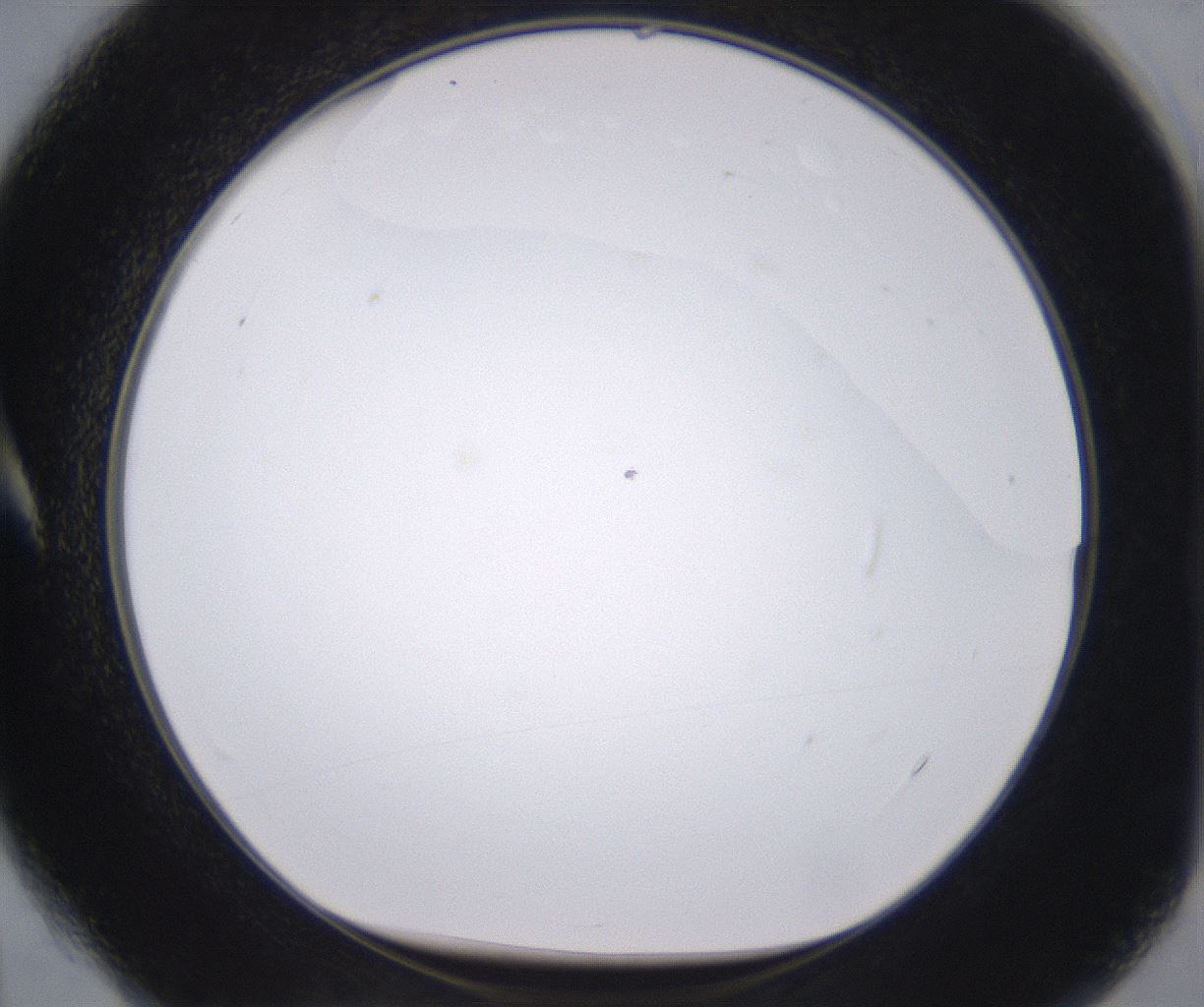 folderID398_plateID2398_batchID11263_wellNum4_profileID1_d1_r177190_ef.jpg