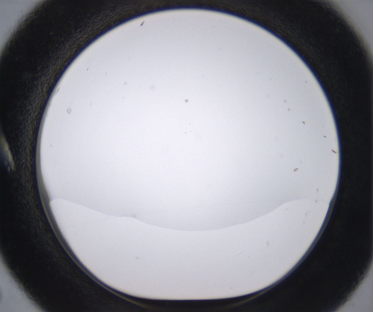 folderID398_plateID2398_batchID11263_wellNum5_profileID1_d1_r177191_ef.jpg