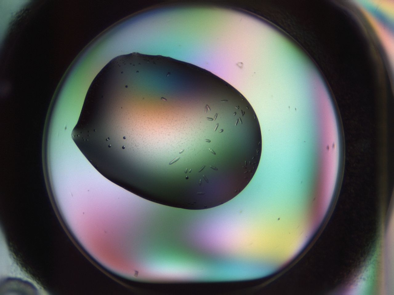 02kn_F10_ImagerDefaults_9.jpg