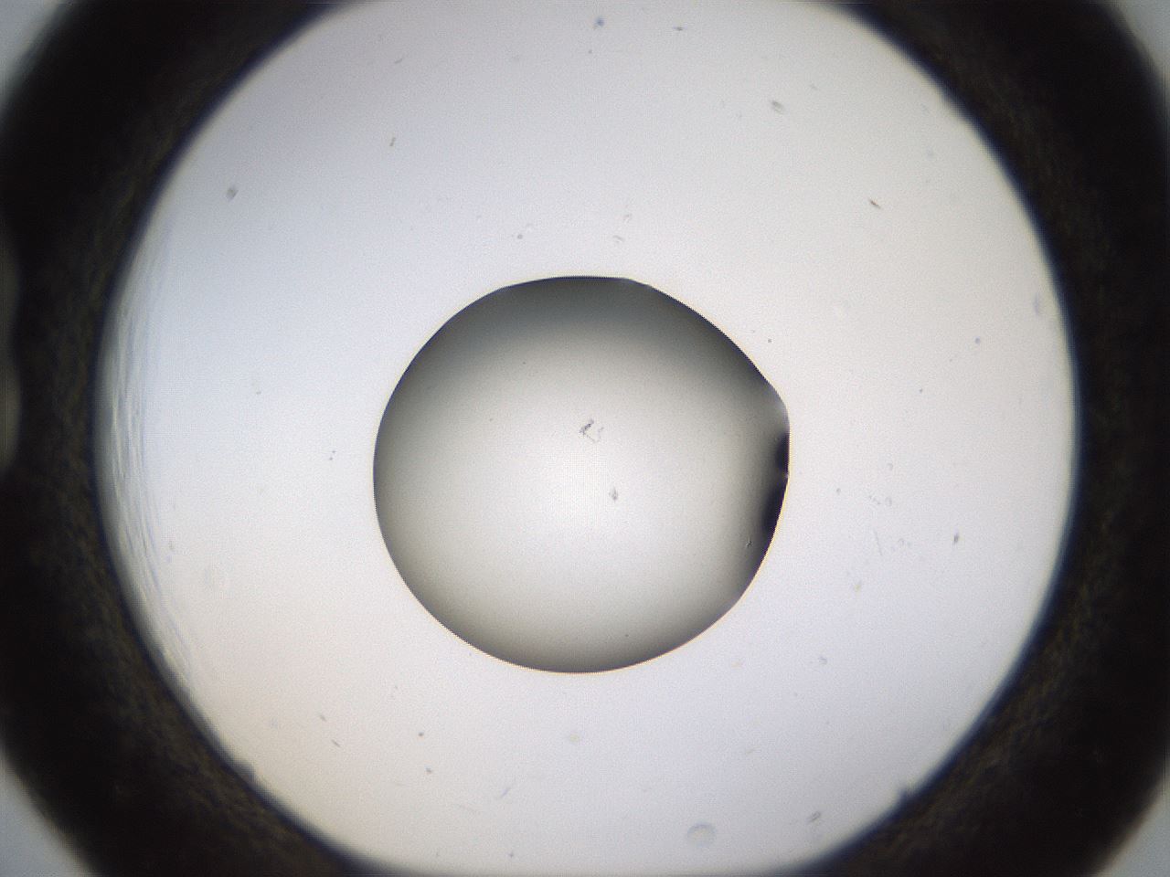 folderID399_plateID1399_batchID5060_wellNum18_profileID1_d1_r85859_ef.jpg