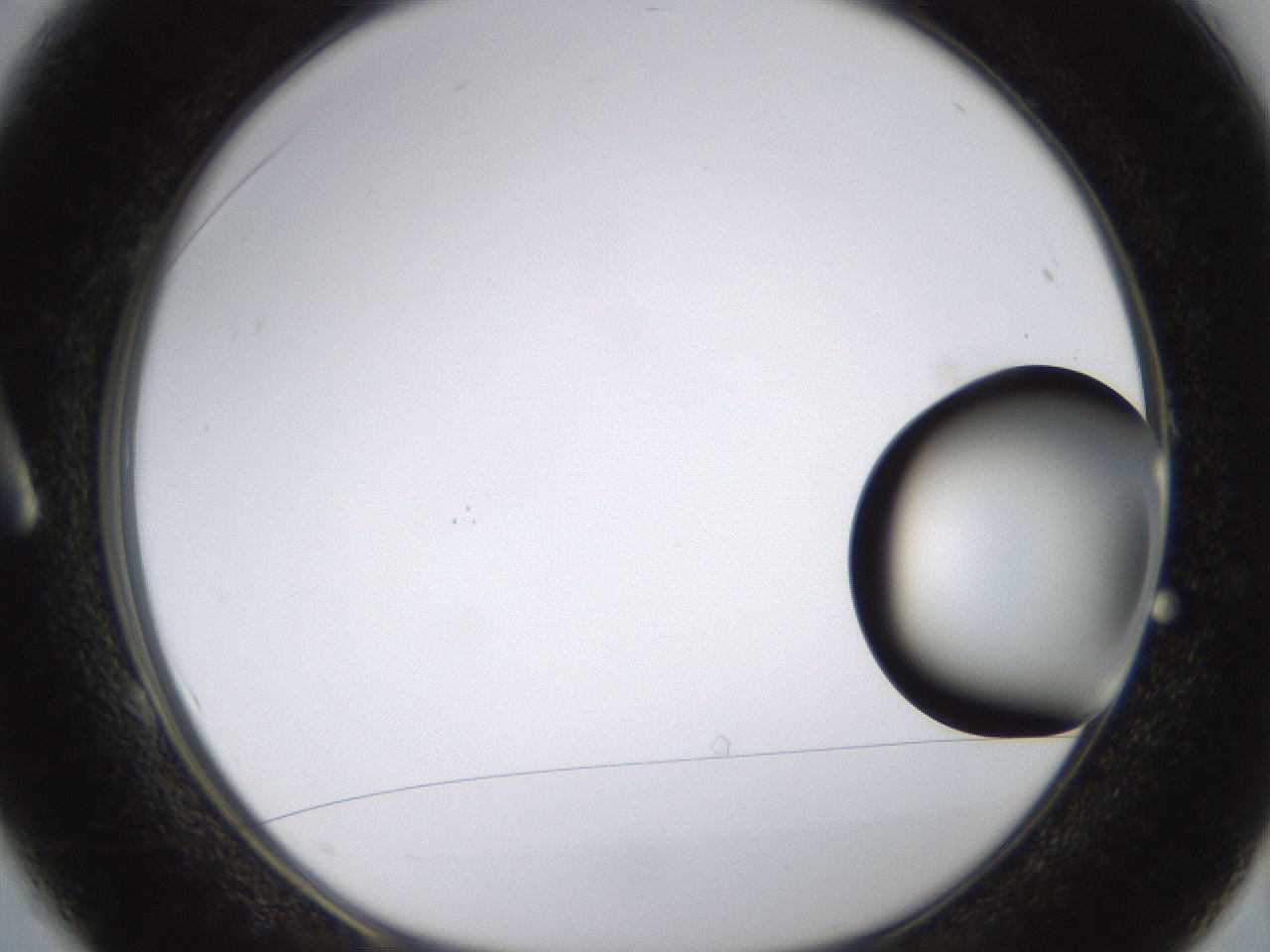 folderID399_plateID1399_batchID5060_wellNum1_profileID1_d1_r85842_ef.jpg
