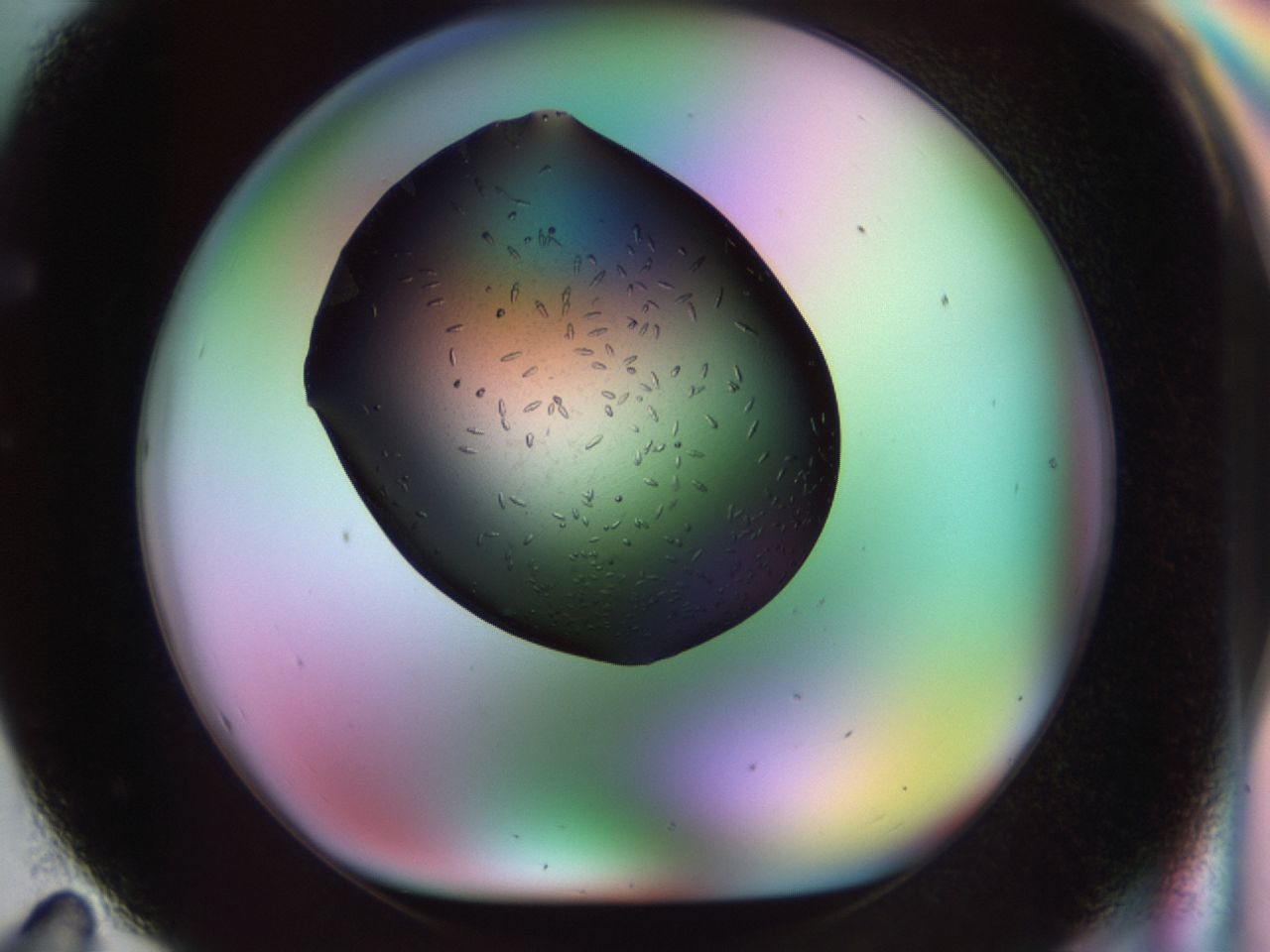 02kn_F11_ImagerDefaults_9.jpg