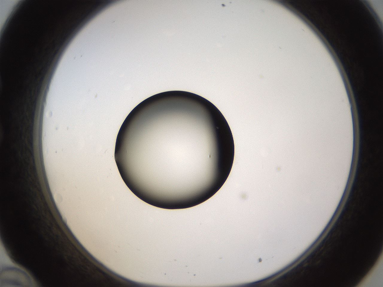 folderID399_plateID1399_batchID5060_wellNum34_profileID1_d1_r85875_ef.jpg