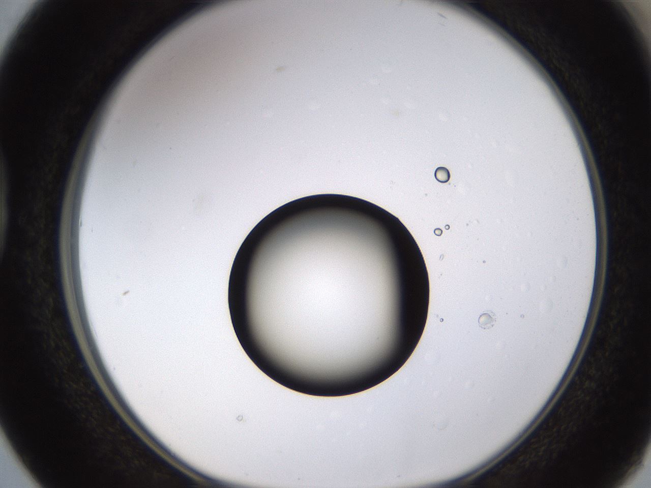 folderID399_plateID1399_batchID5060_wellNum38_profileID1_d1_r85879_ef.jpg