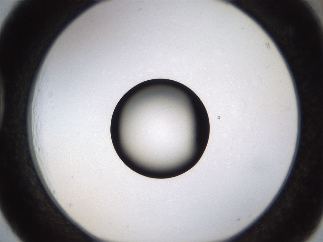 folderID399_plateID1399_batchID5060_wellNum39_profileID1_d1_r85880_ef.jpg