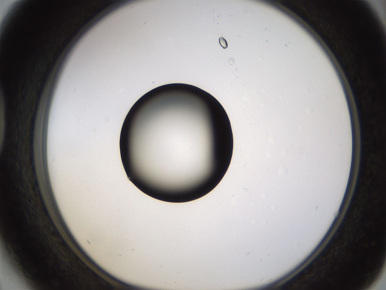 folderID399_plateID1399_batchID5060_wellNum41_profileID1_d1_r85882_ef.jpg