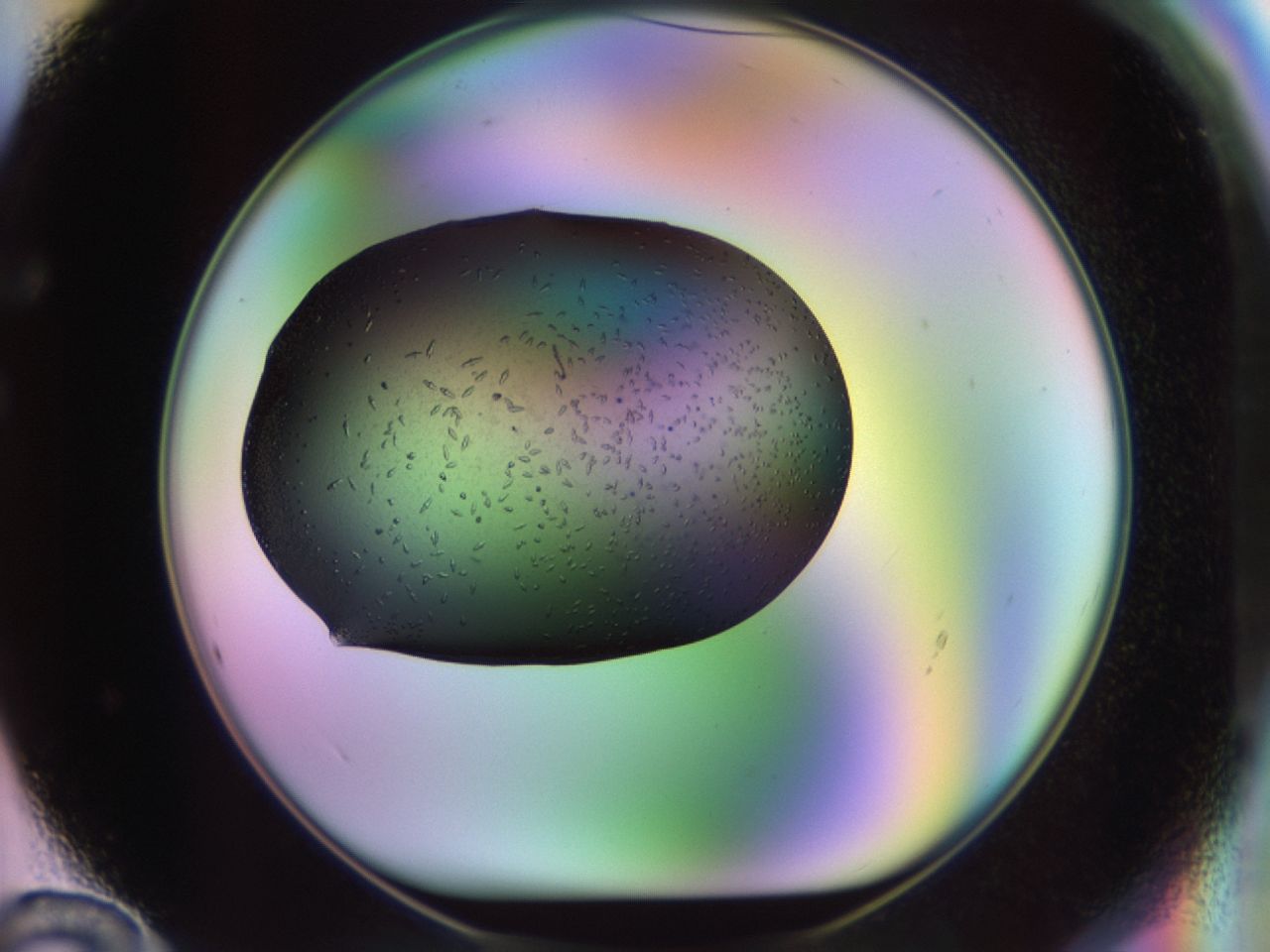 02kn_F12_ImagerDefaults_9.jpg