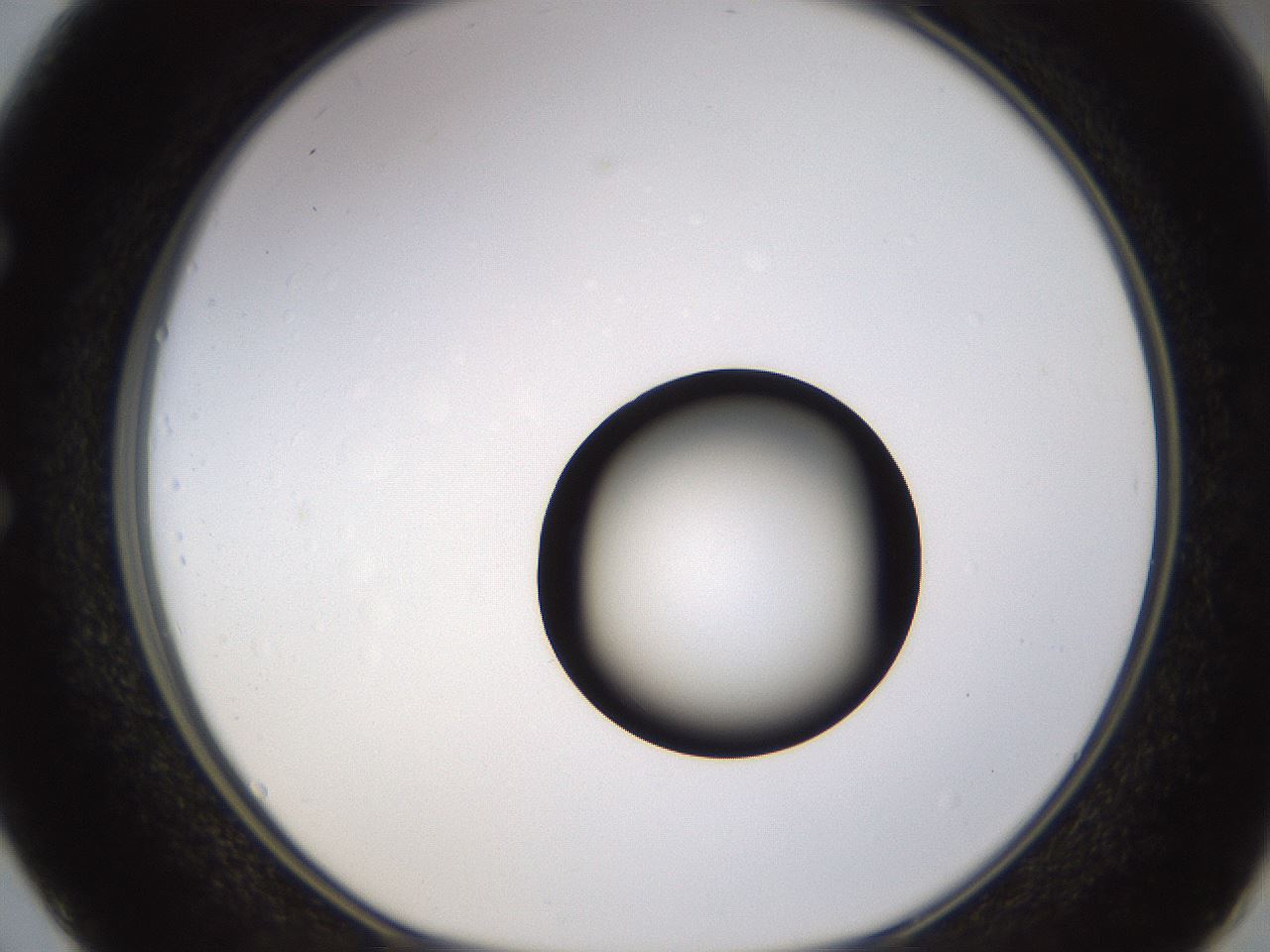 folderID399_plateID1399_batchID5060_wellNum50_profileID1_d1_r85891_ef.jpg