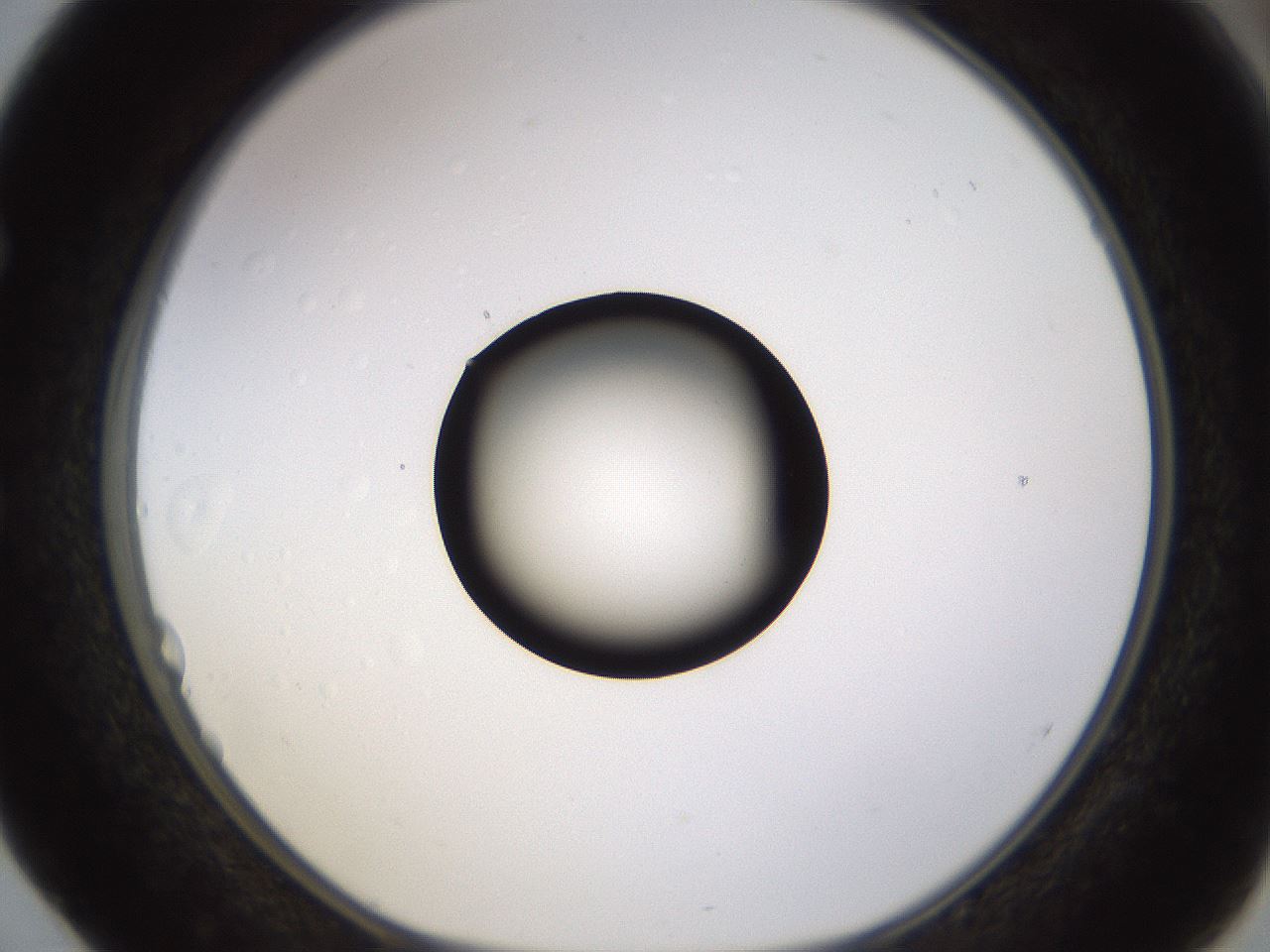 folderID399_plateID1399_batchID5060_wellNum52_profileID1_d1_r85893_ef.jpg