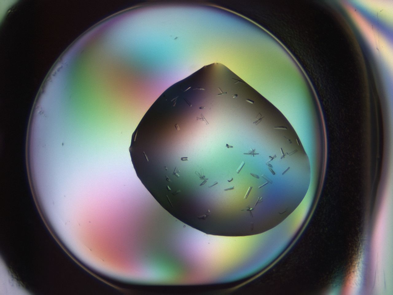 02kn_G1_ImagerDefaults_9.jpg