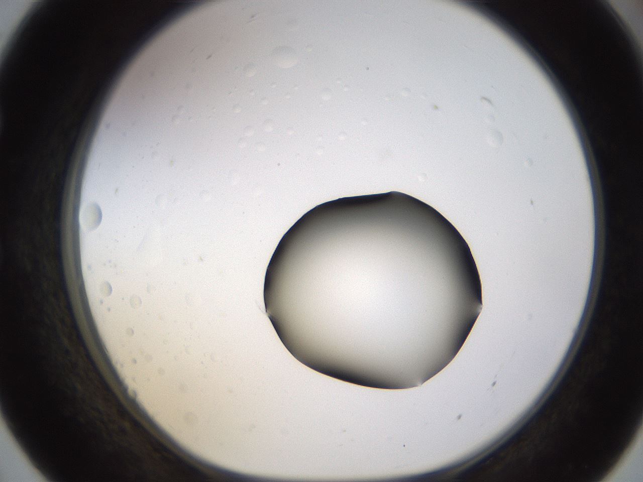 folderID399_plateID1399_batchID5060_wellNum55_profileID1_d1_r85896_ef.jpg