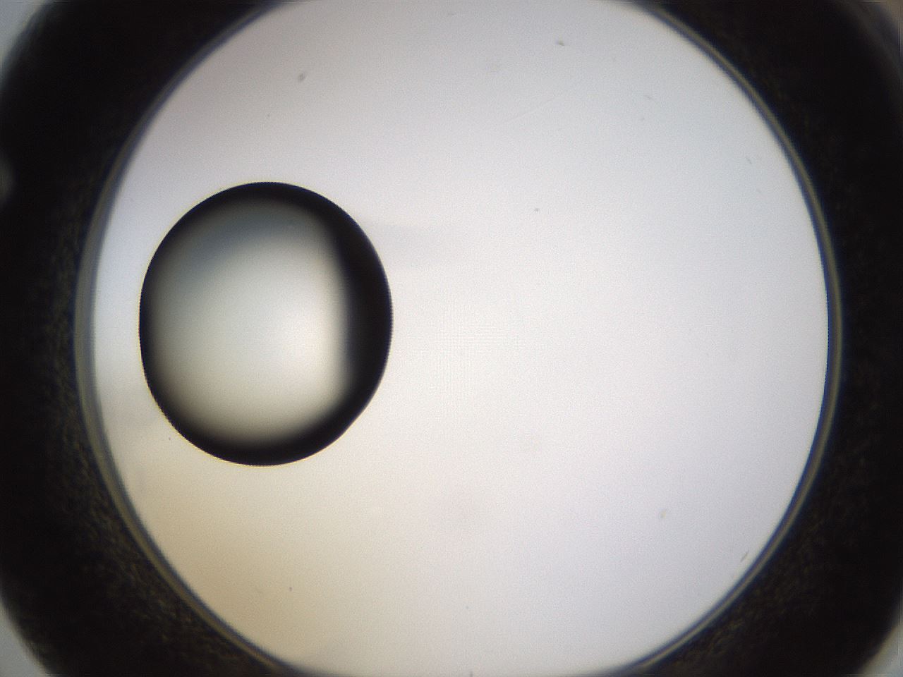 folderID399_plateID1399_batchID5060_wellNum62_profileID1_d1_r85903_ef.jpg