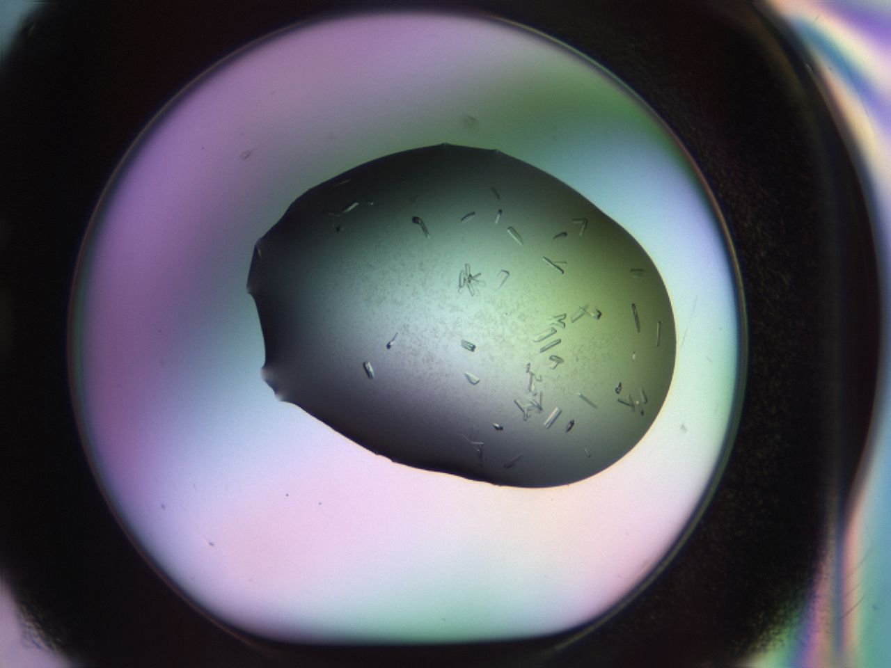 02kn_G2_ImagerDefaults_9.jpg