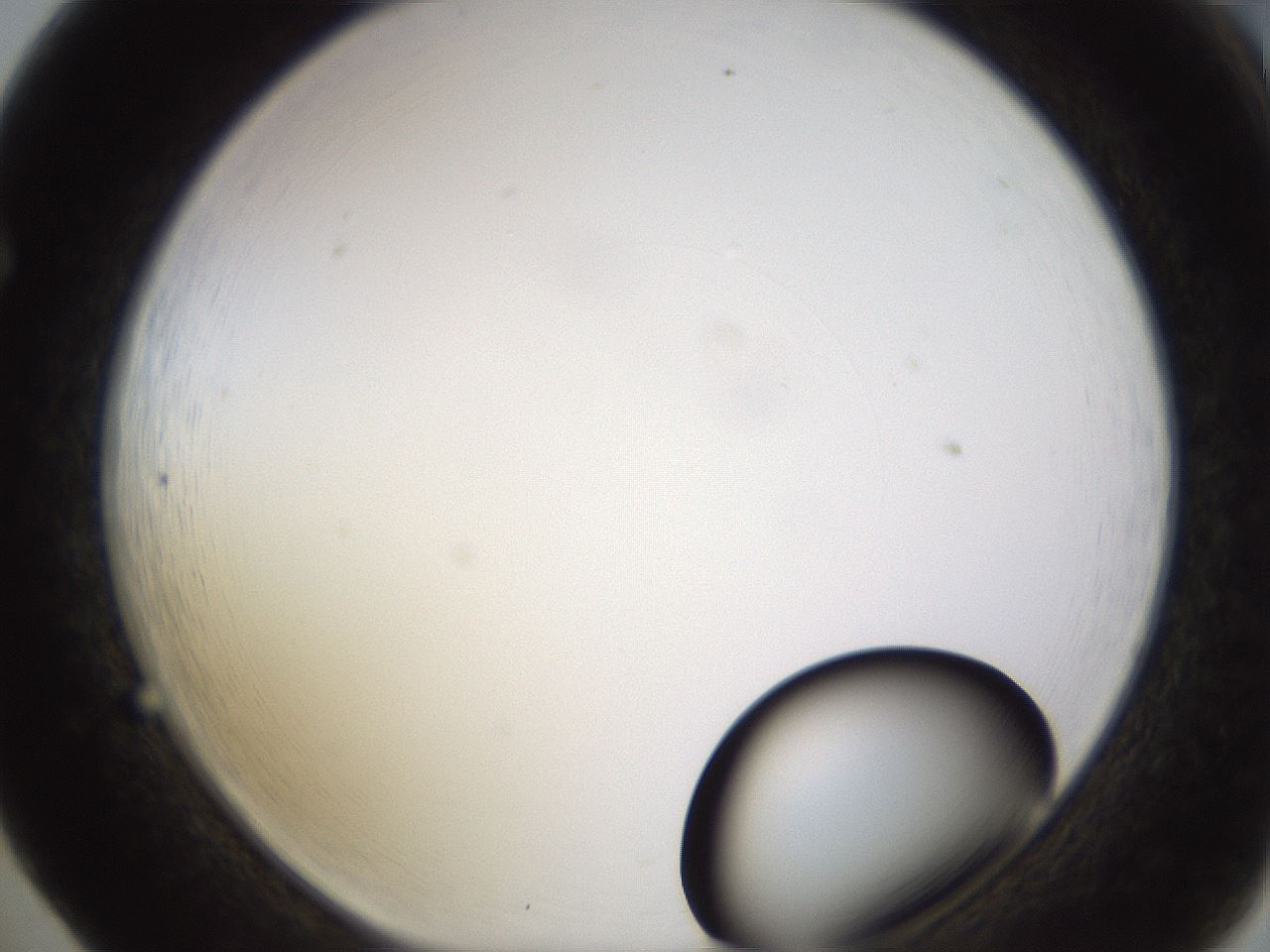 folderID399_plateID1399_batchID5060_wellNum65_profileID1_d1_r85906_ef.jpg